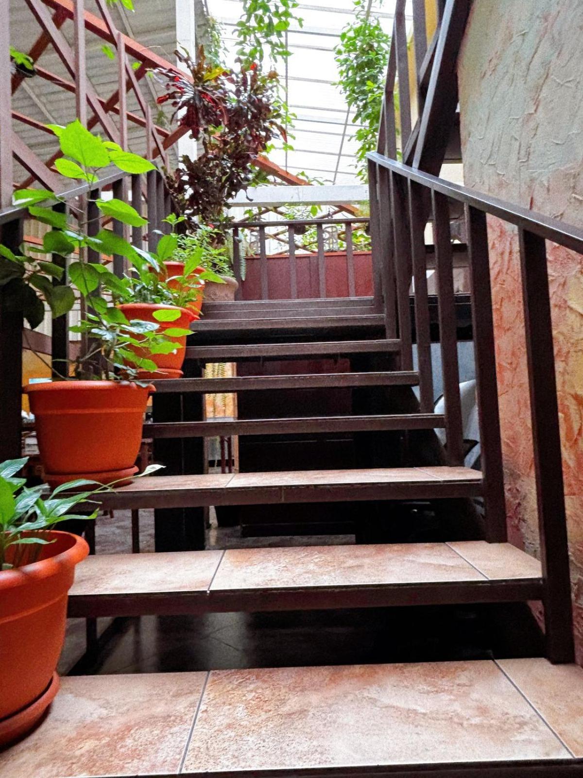 Antigua Inn Hotel Guatemala City Exterior foto