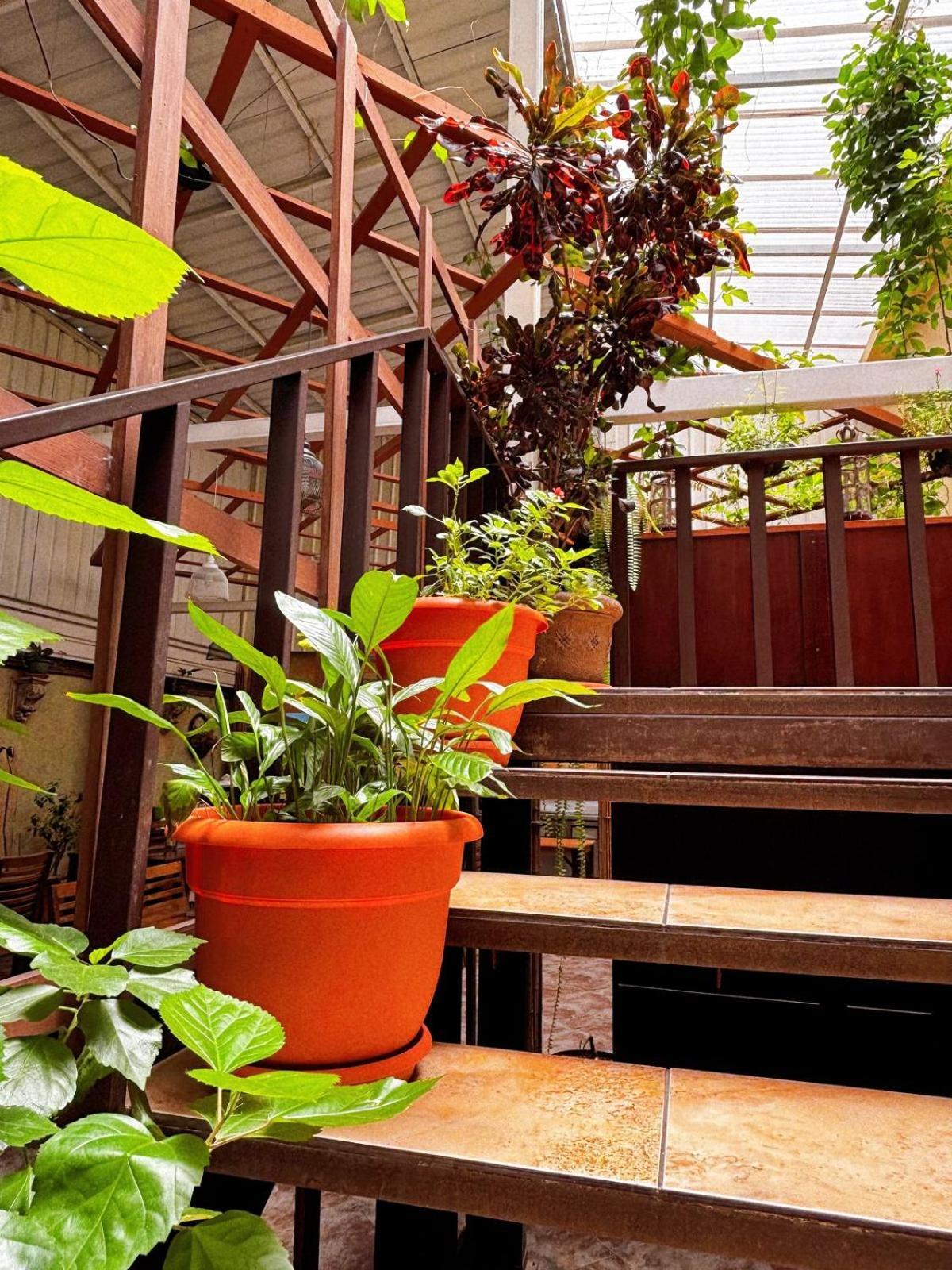 Antigua Inn Hotel Guatemala City Exterior foto